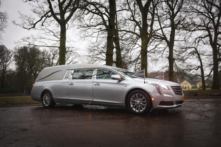 Cadillac lichtgrijs